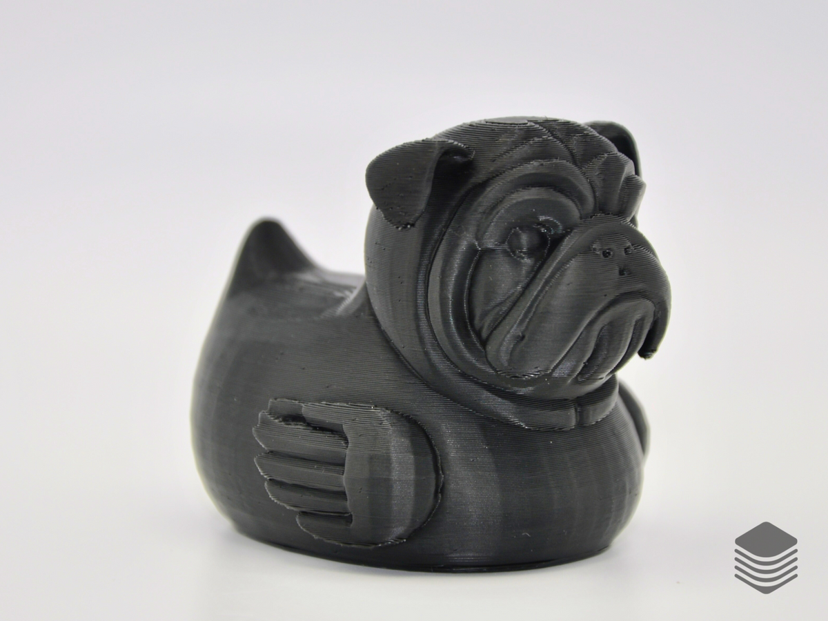 Bulldog Duck