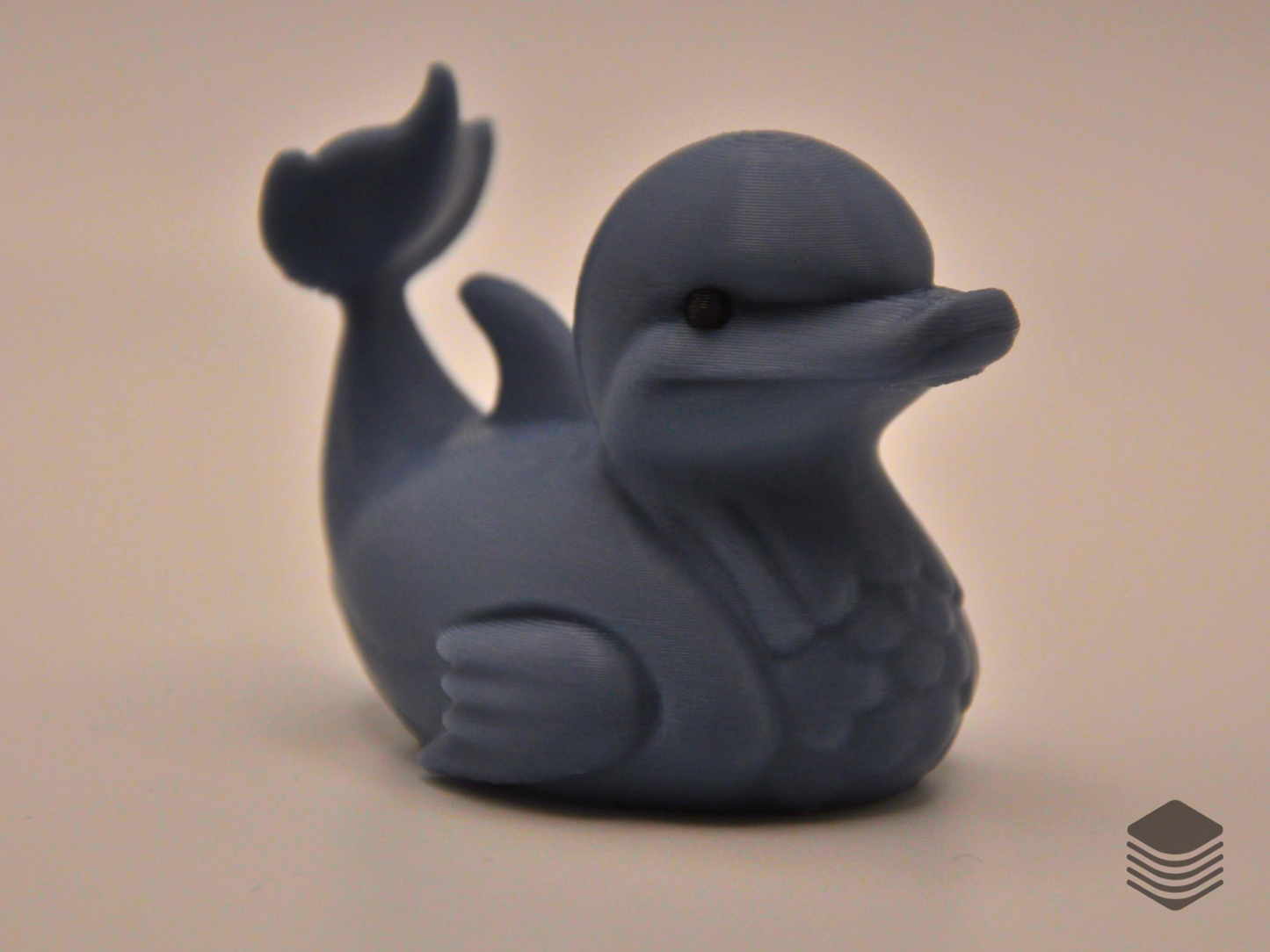 Dolphin Duck