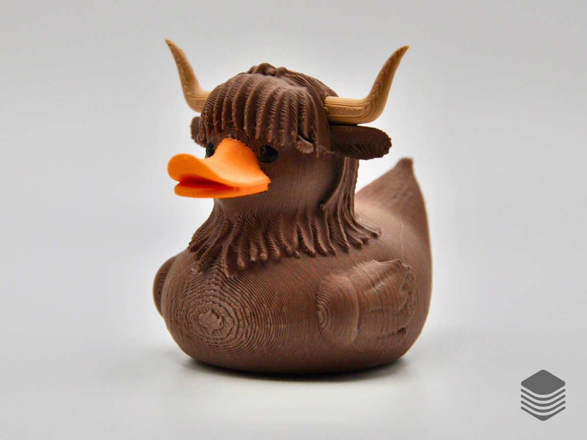 Highland Cow Duck