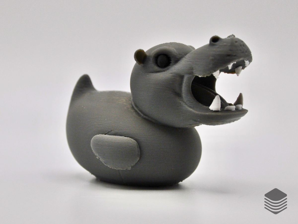 Hippo Duck