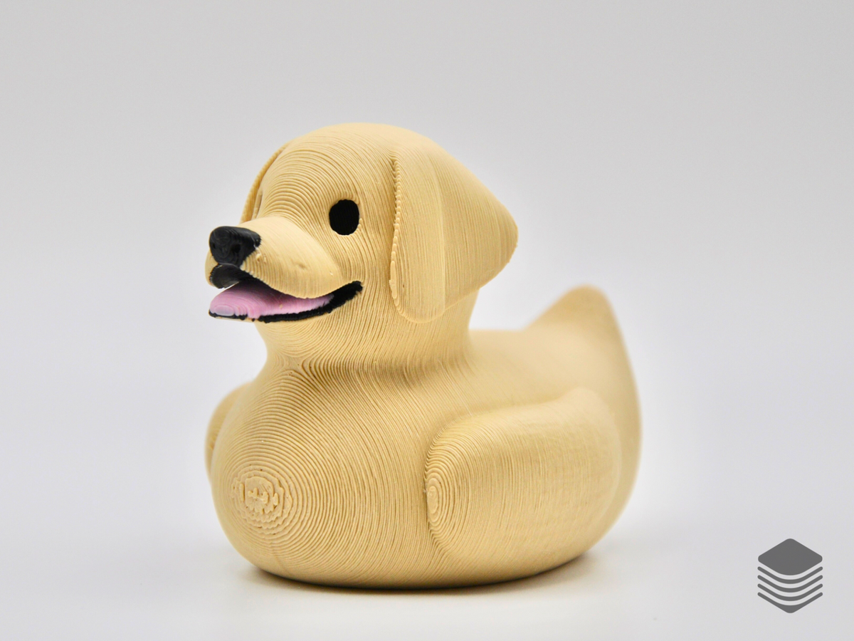 Labrador Retriever Duck