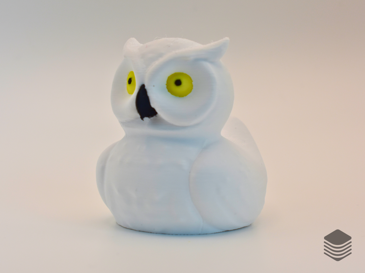 Owl Duck