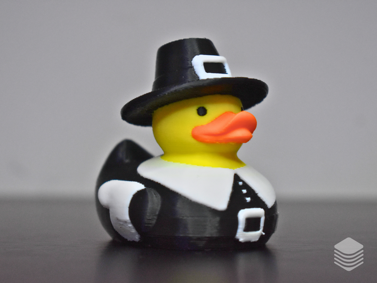 Pilgrim Duck
