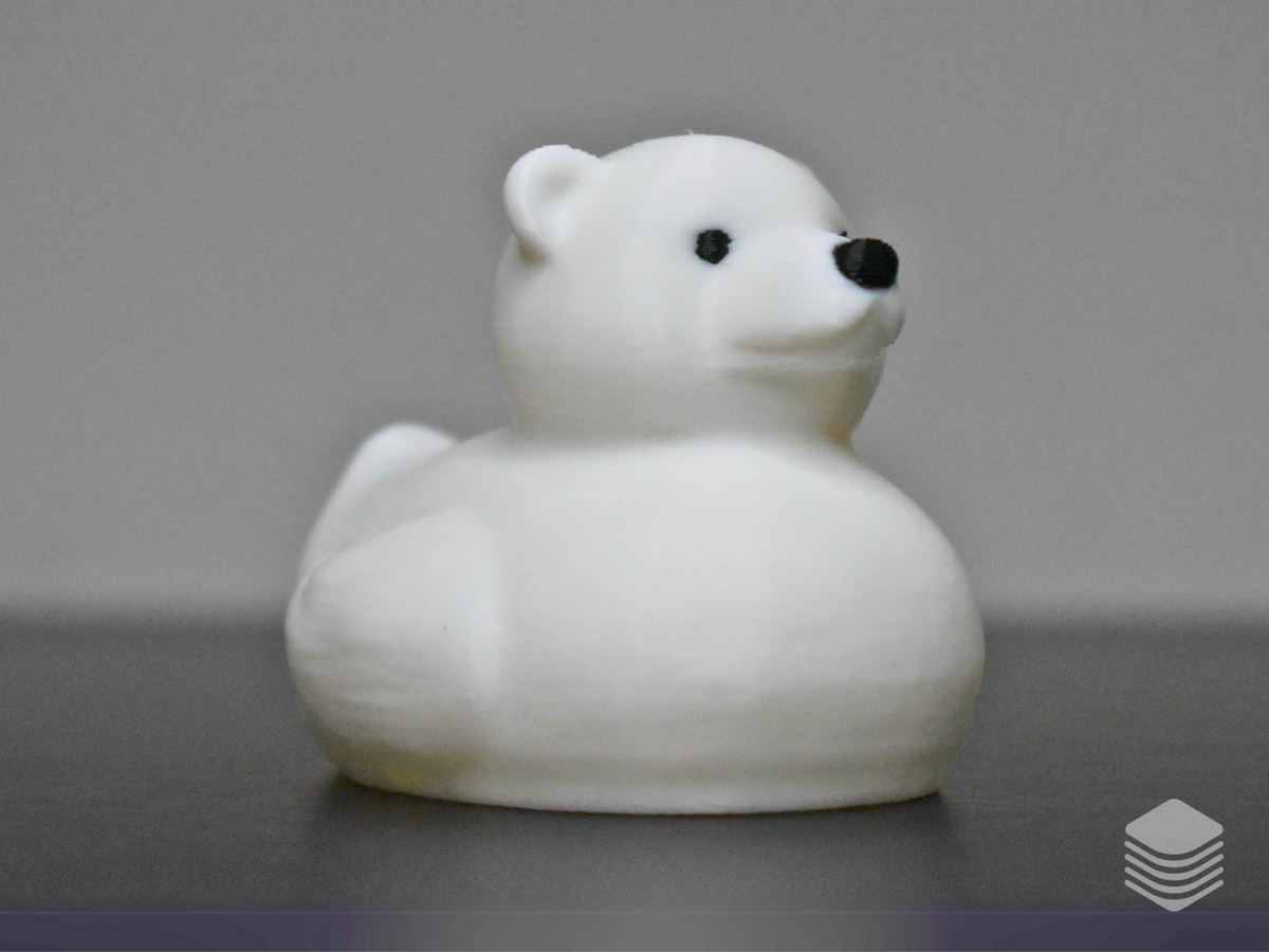 Polar Bear Duck