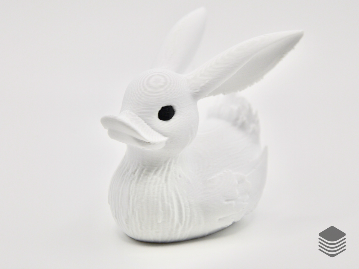 Rabbit Duck