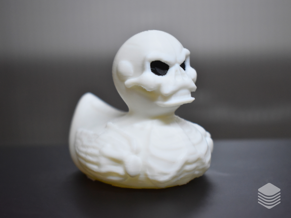 Skeleton Duck