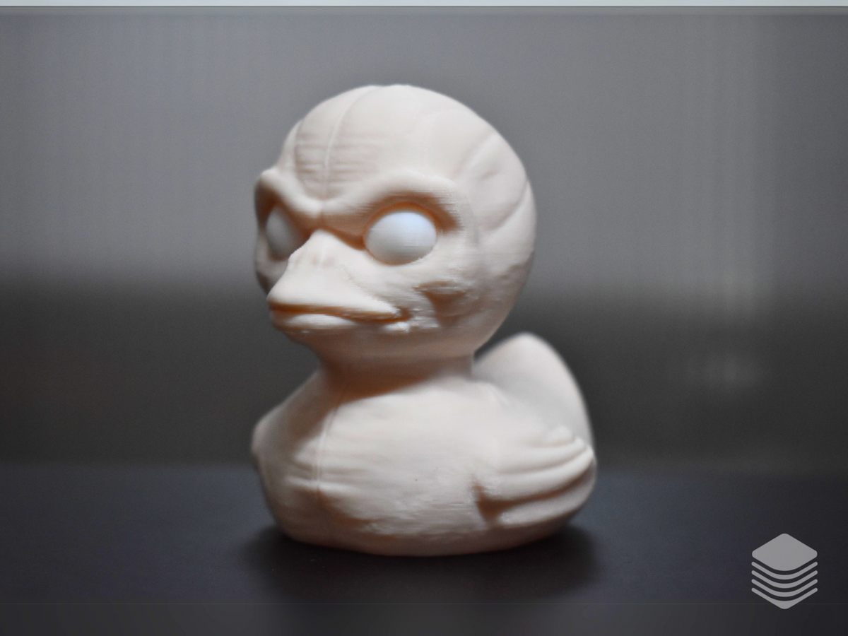 Skinned Creature Duck