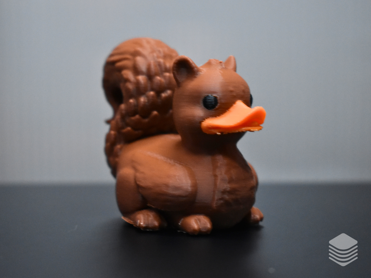 Squirrel Duck