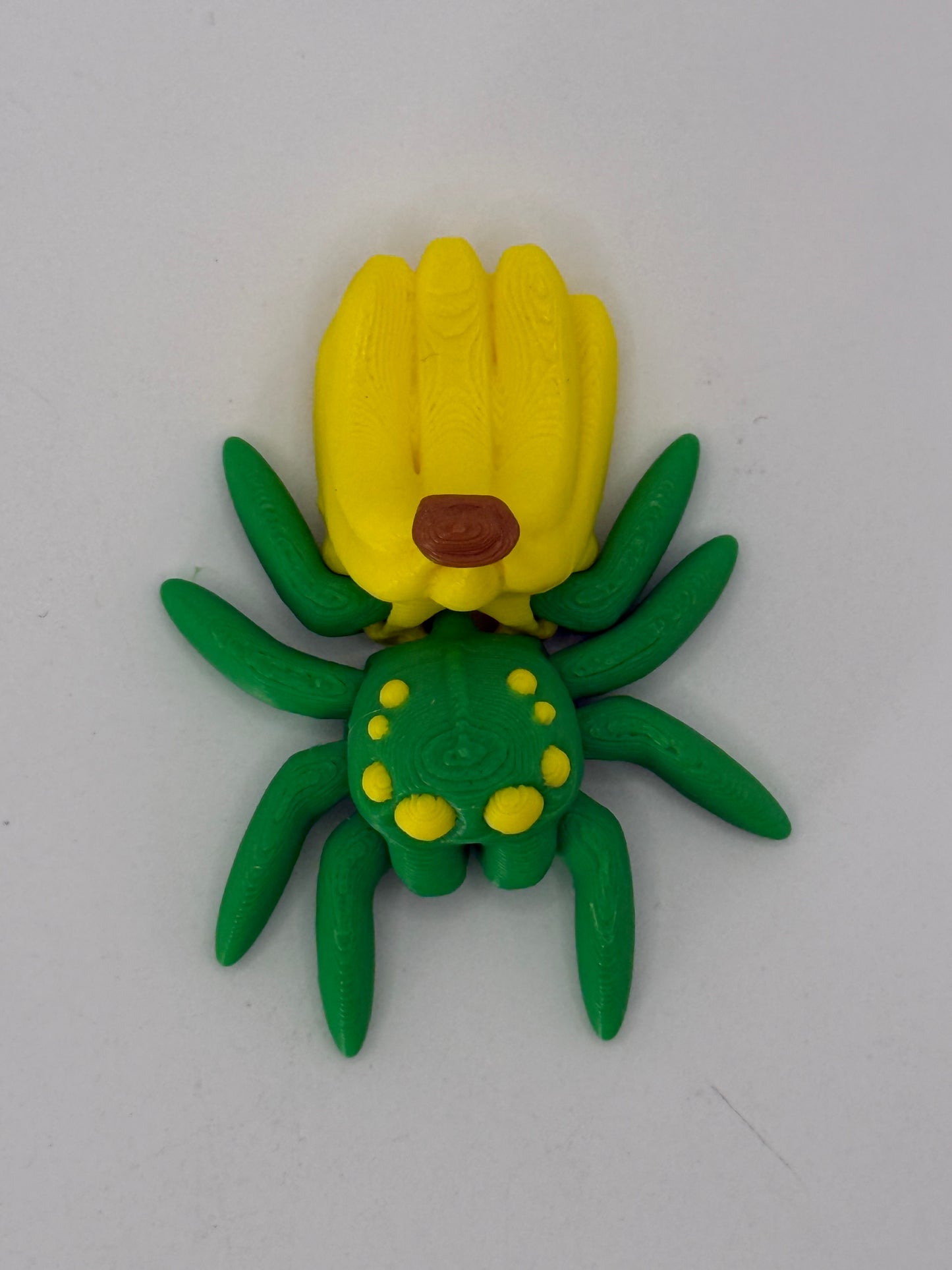 Fruit Banana Spider