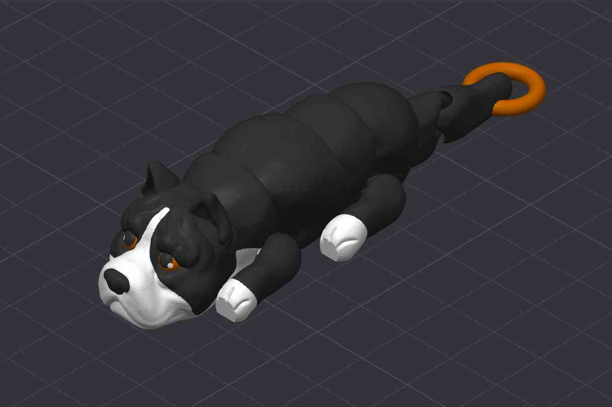 American Bully Dog