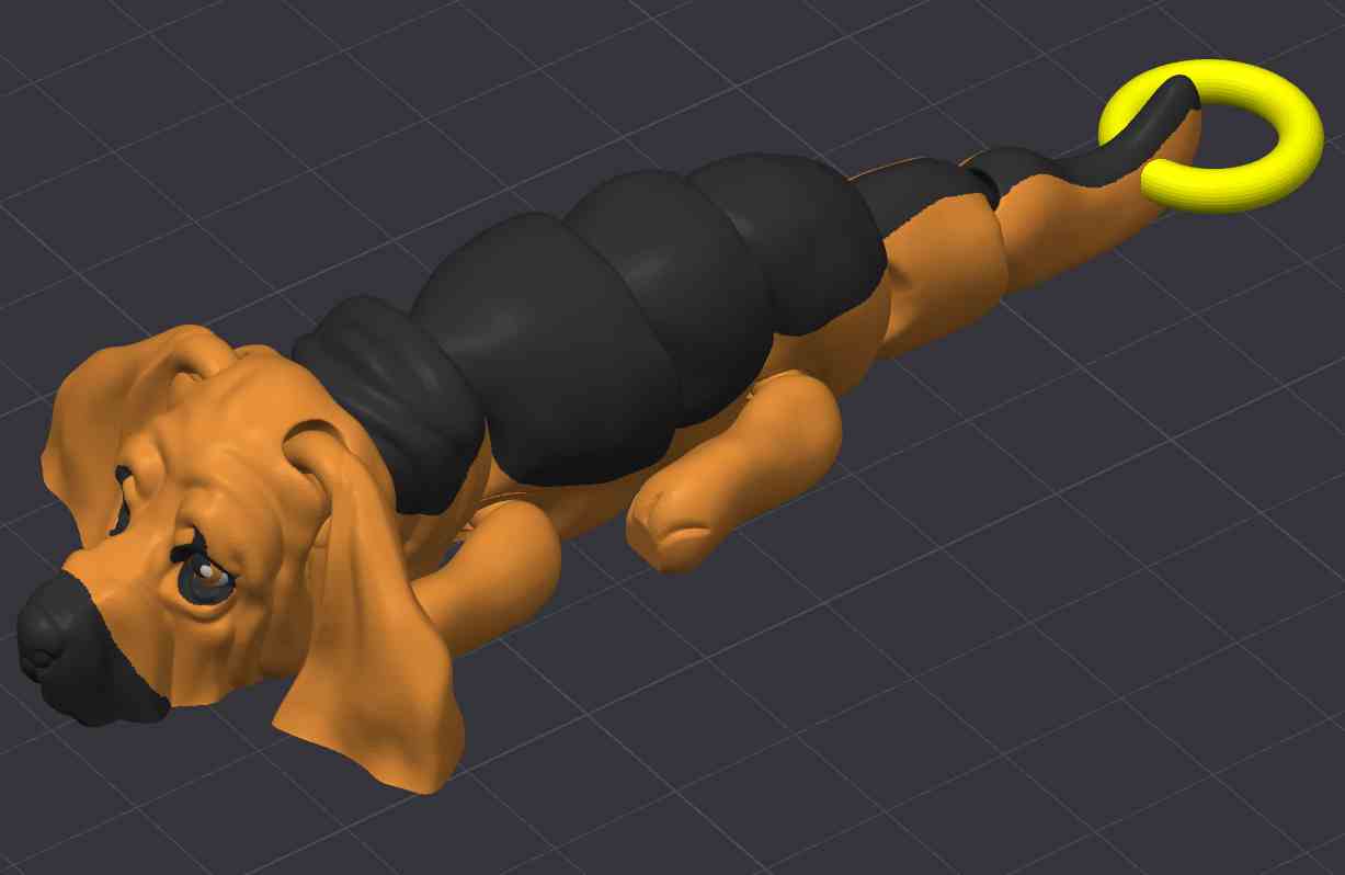 Bloodhound Dog