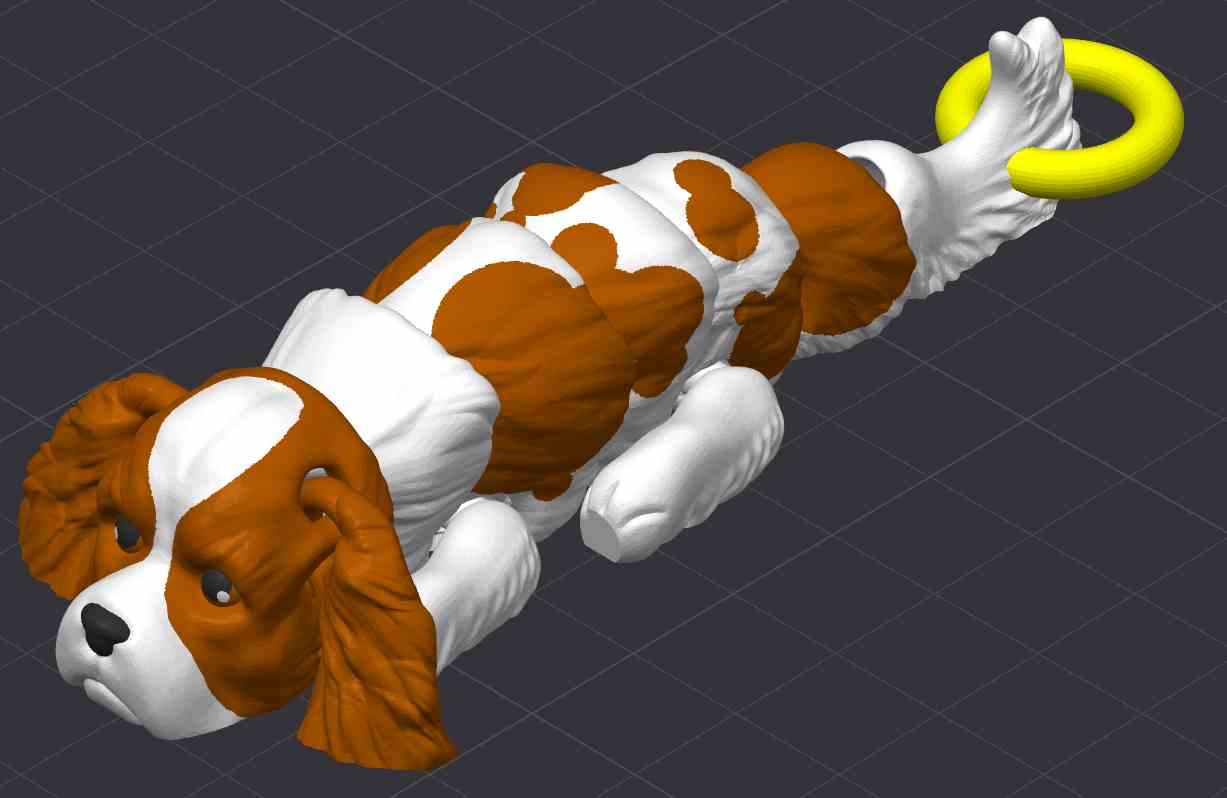 Cavalier Dog