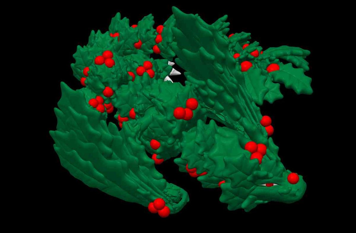 Holly Dragon