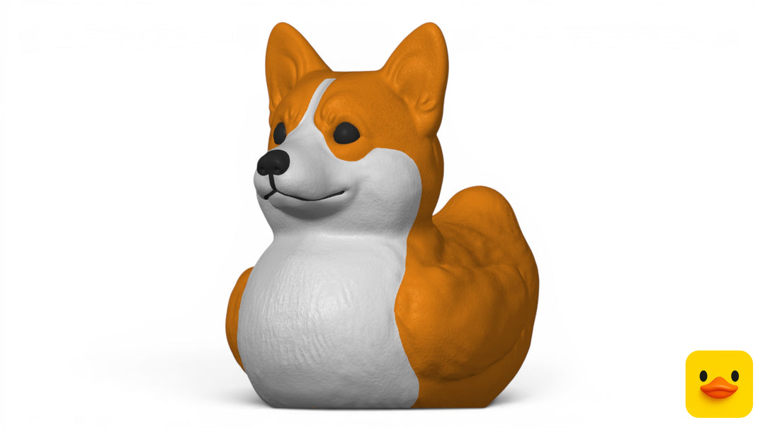 Corgi Duck