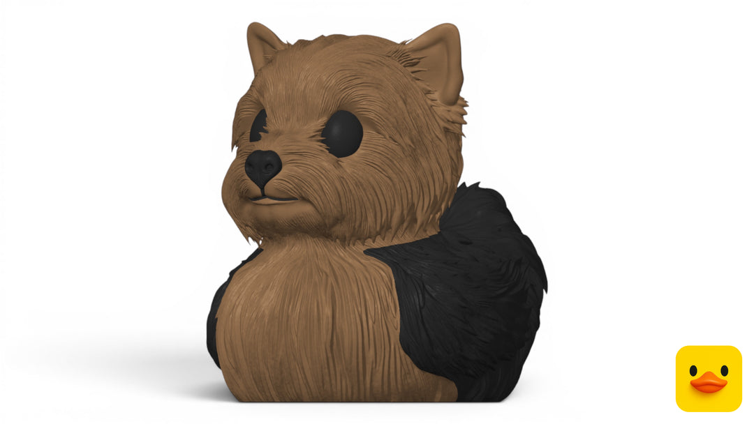 Yorkshire Terrier Duck