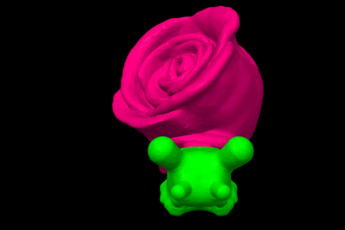 Rose Snail