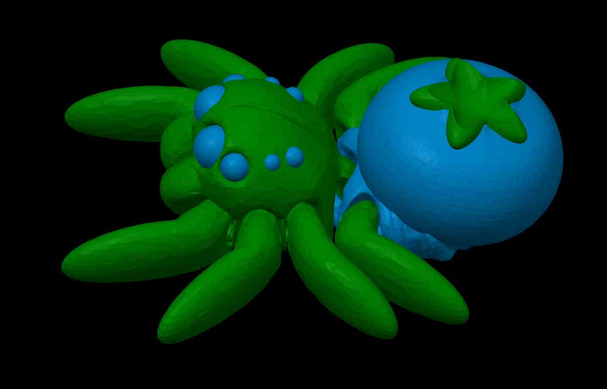 Fruit Blueberry Spider