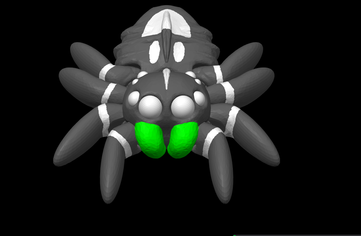 Spider Spider