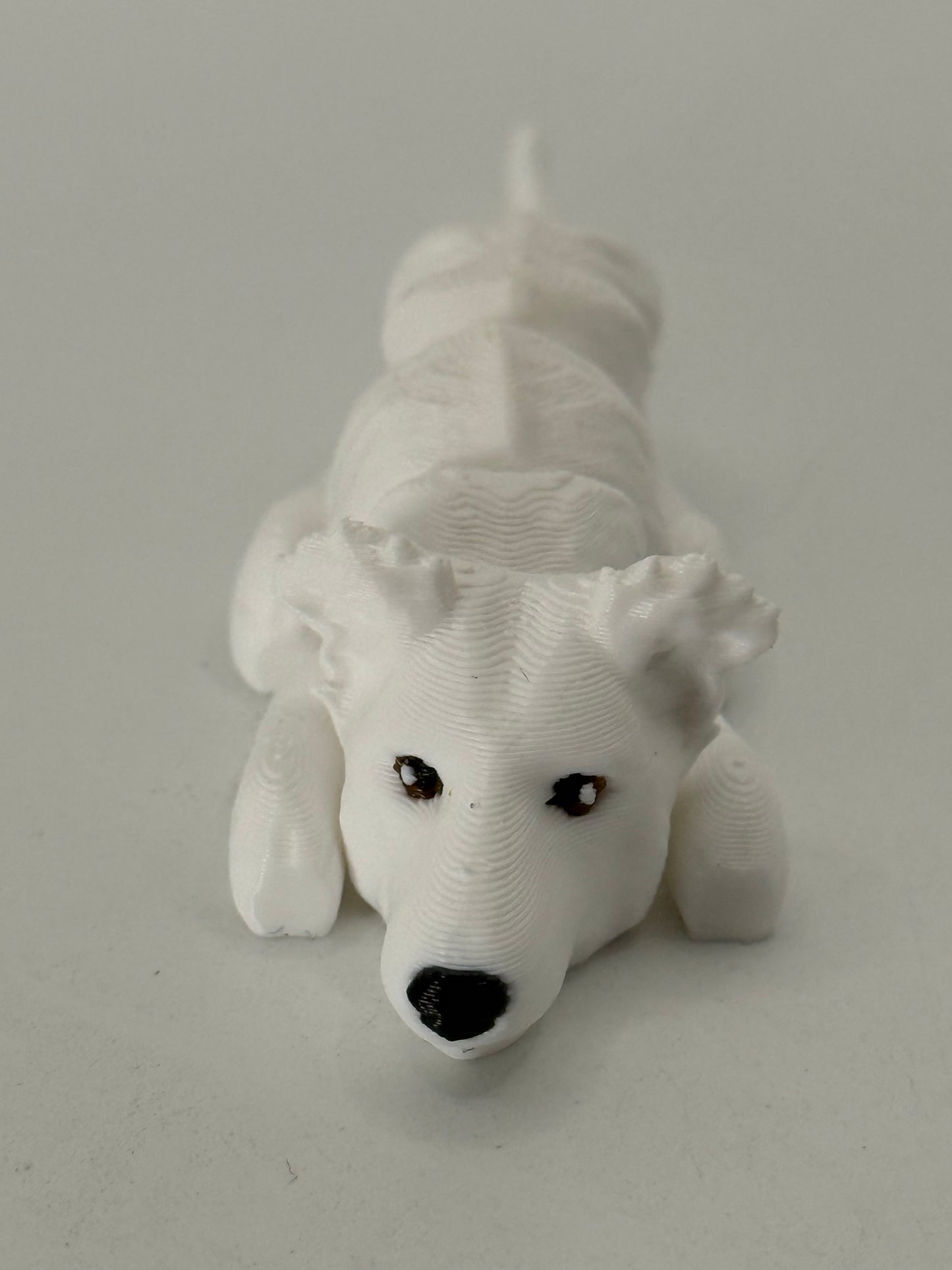 Borzoi Dog