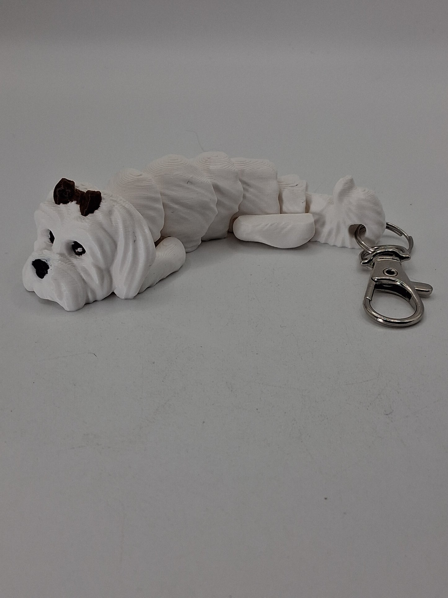 Maltese Dog