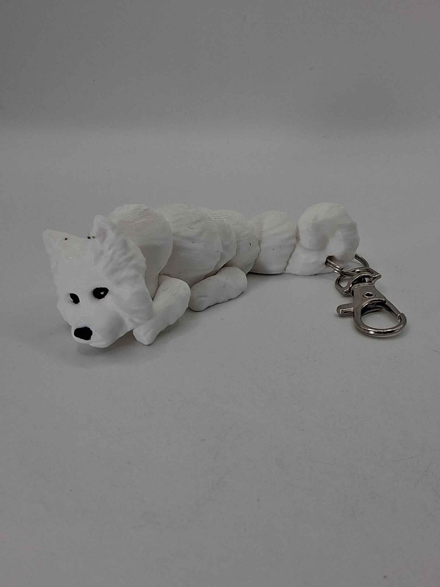 Samoyed Dog