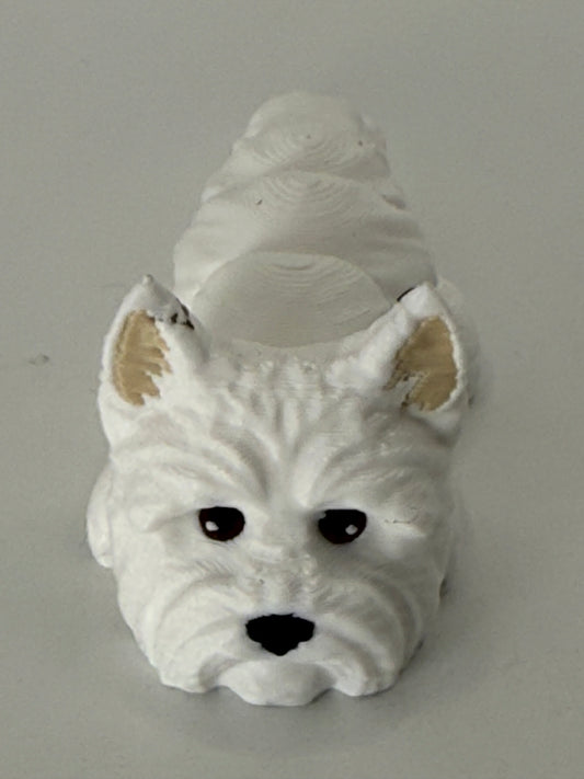 West Highland White Terrier Dog