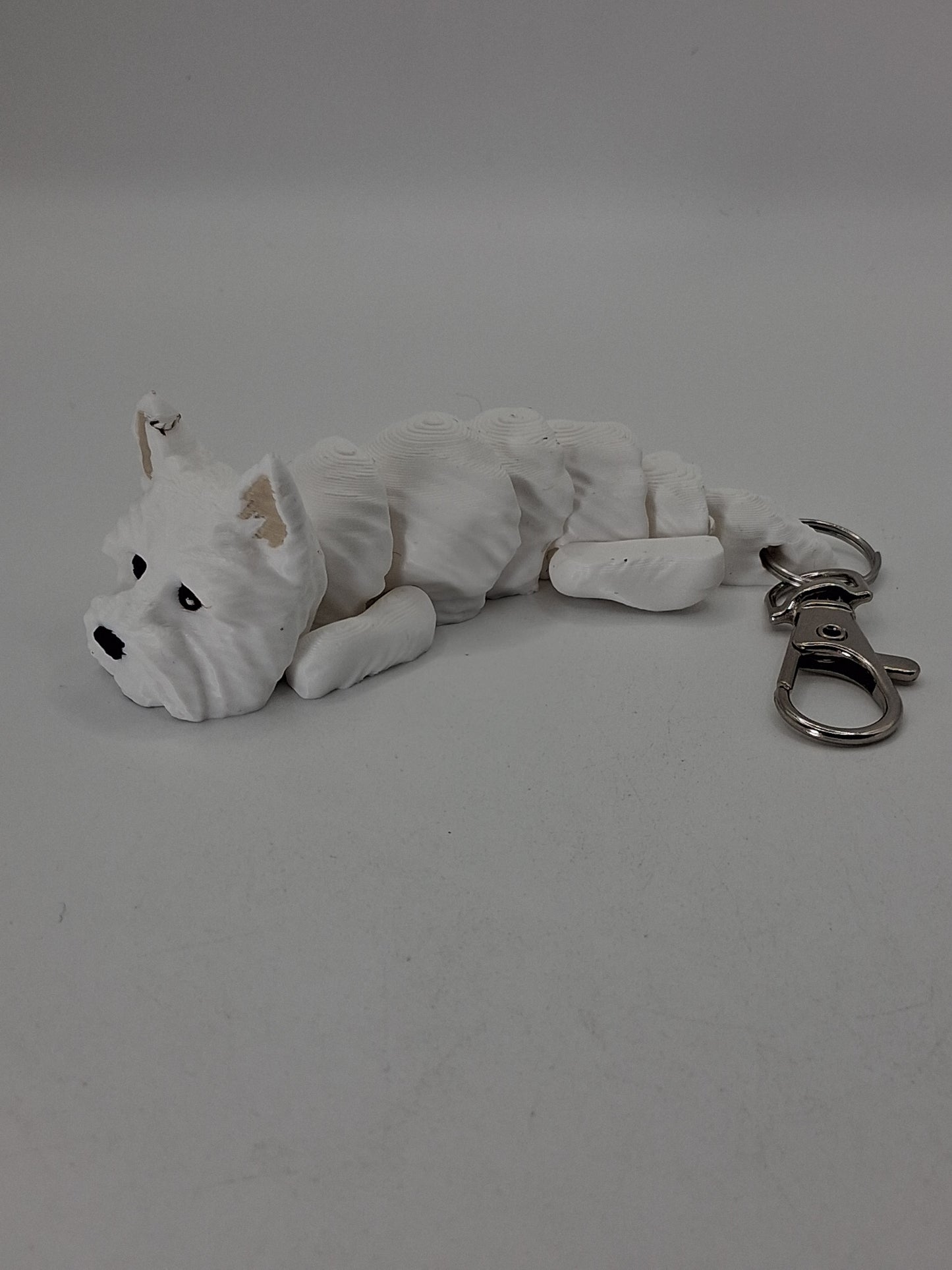 West Highland White Terrier Dog