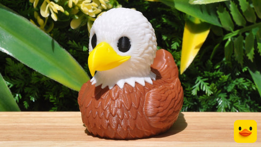 Bald Eagle Duck
