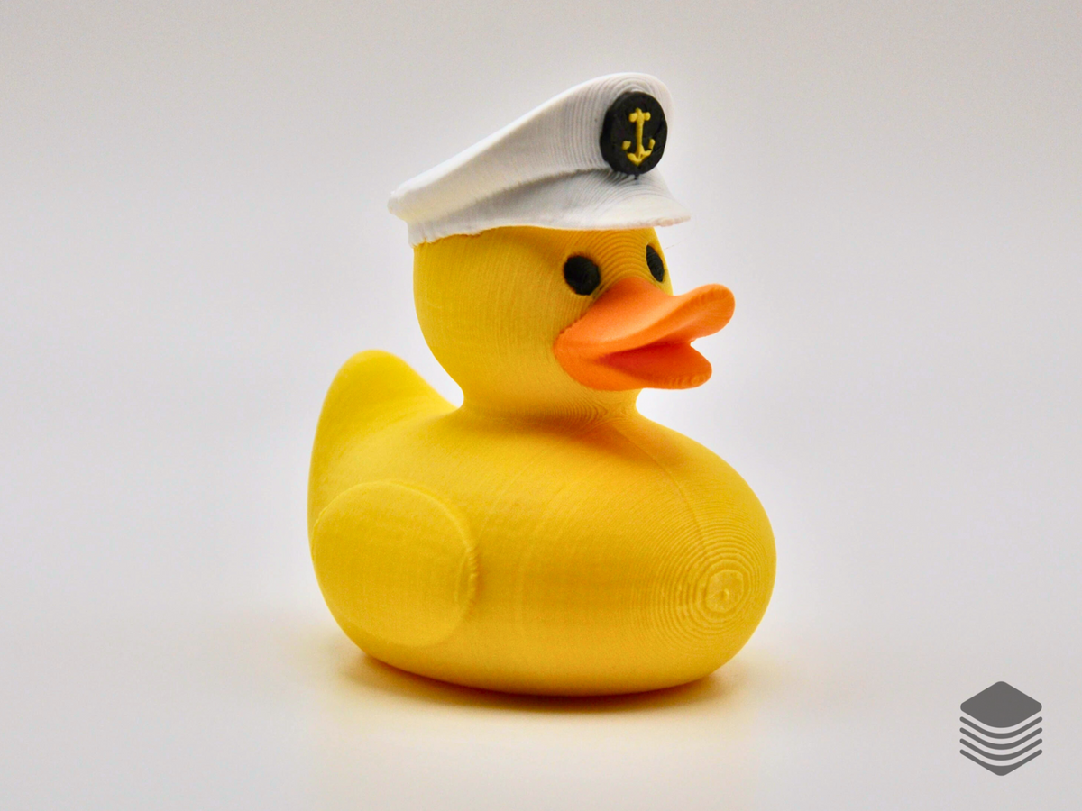 Captains Hat Duck