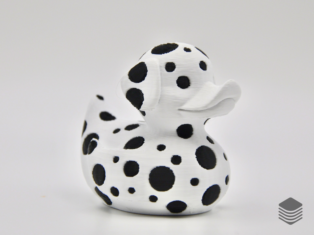 Dalmatian Duck