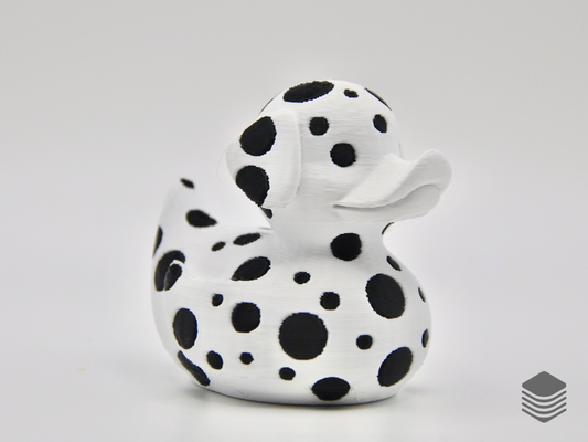 Dalmatian Duck
