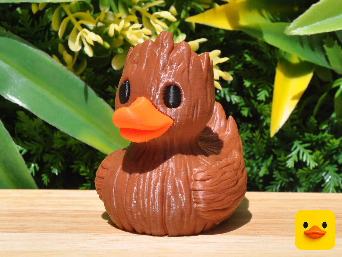 Groot Duck
