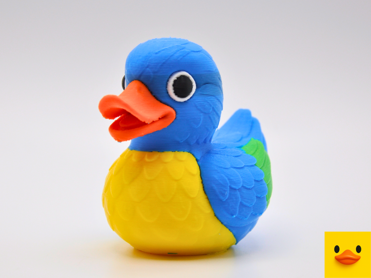 Macaw Duck