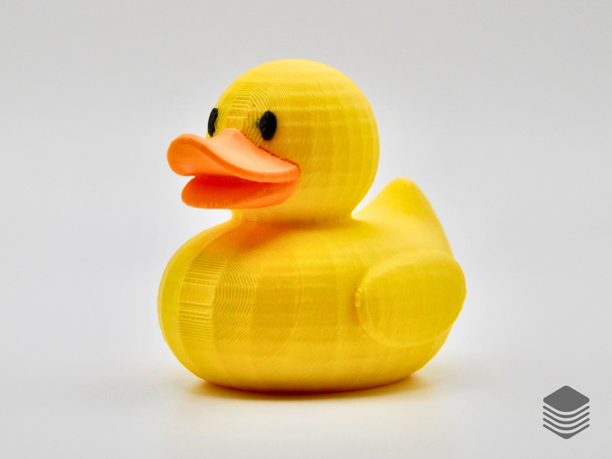 Normal Duck