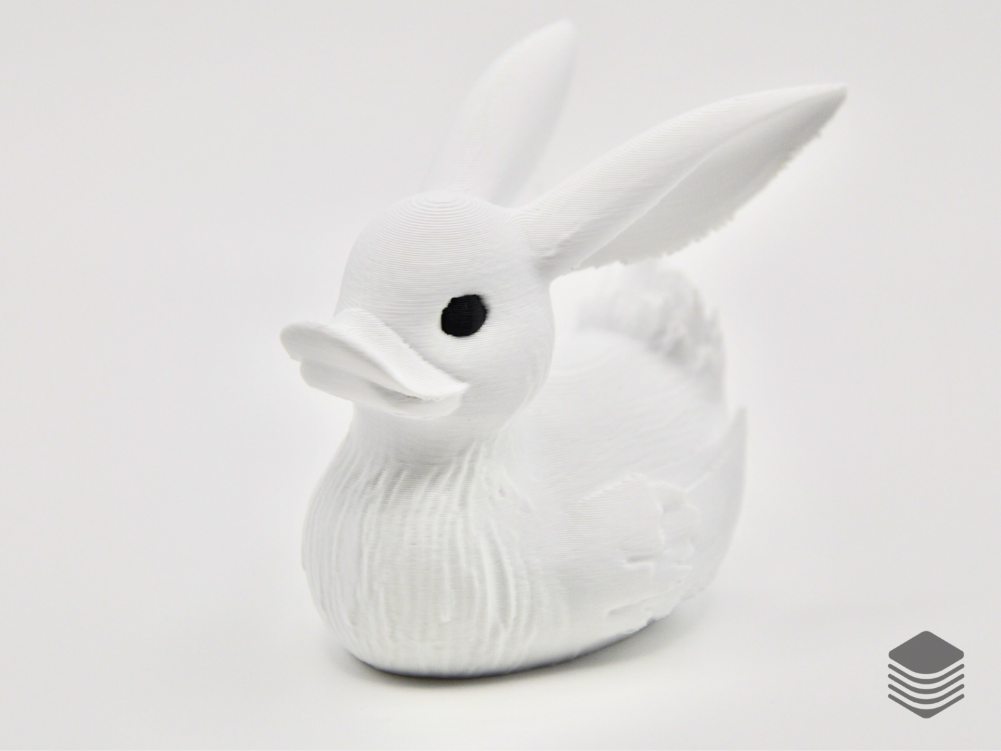 Rabbit Duck