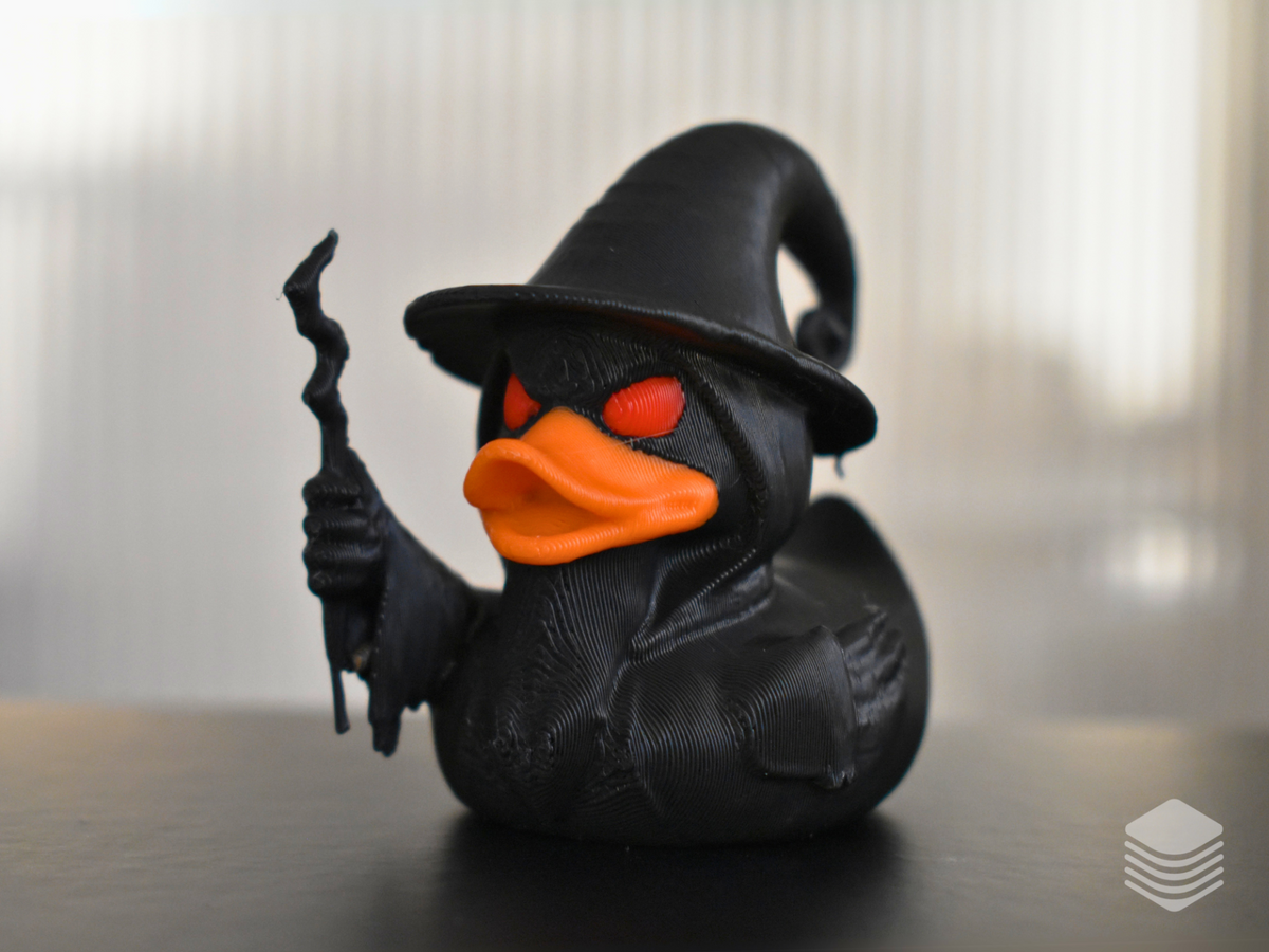 Wizard Duck