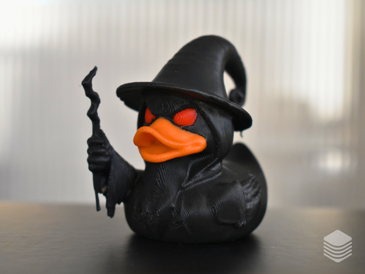 Wizard Duck