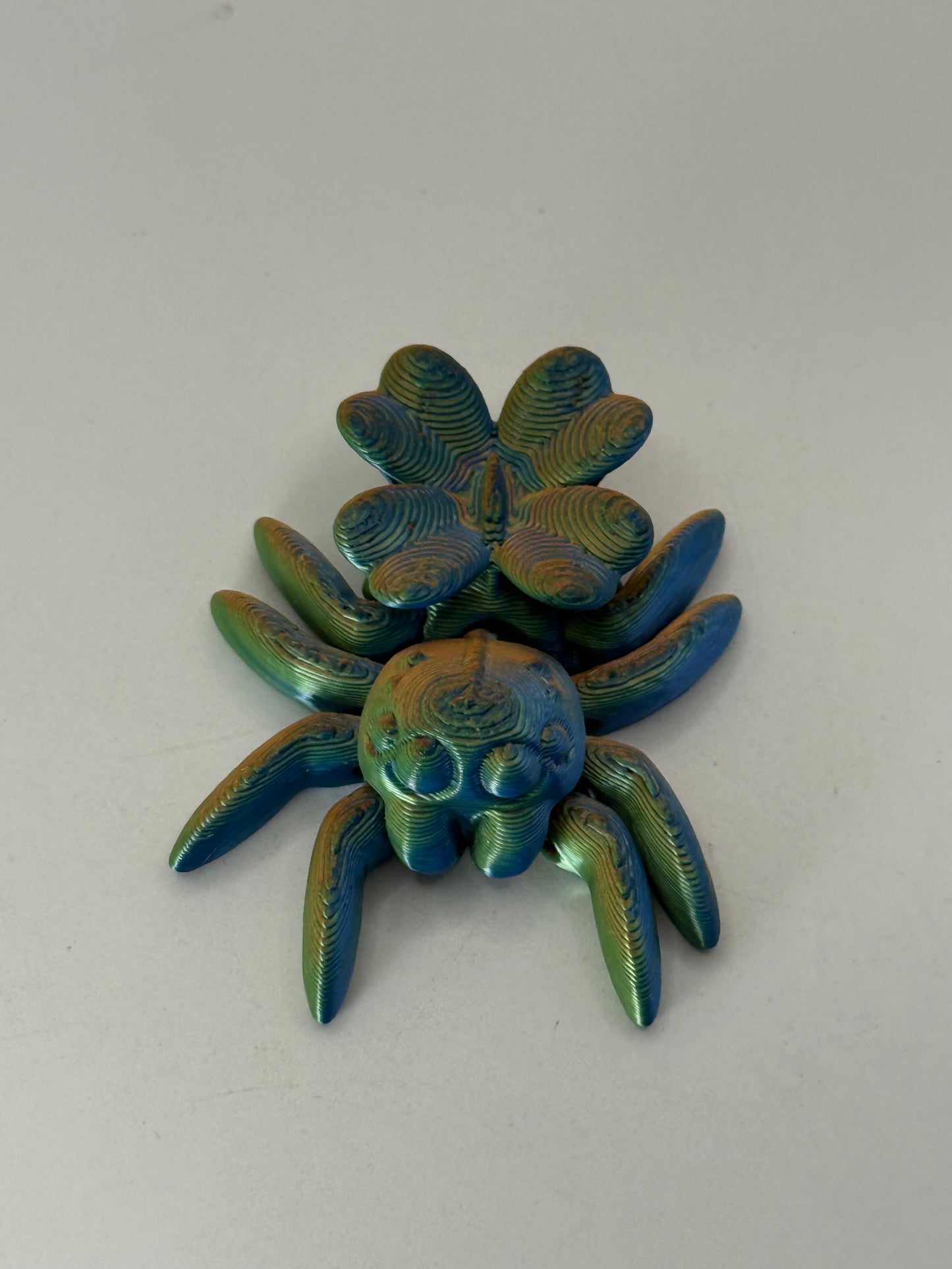Lucky Clover Spider
