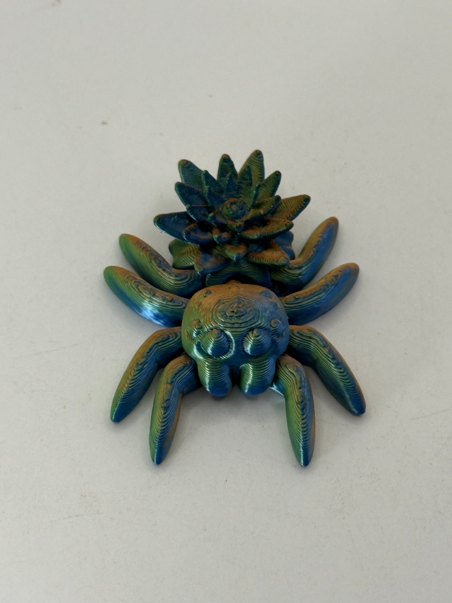 Water Lily Spider