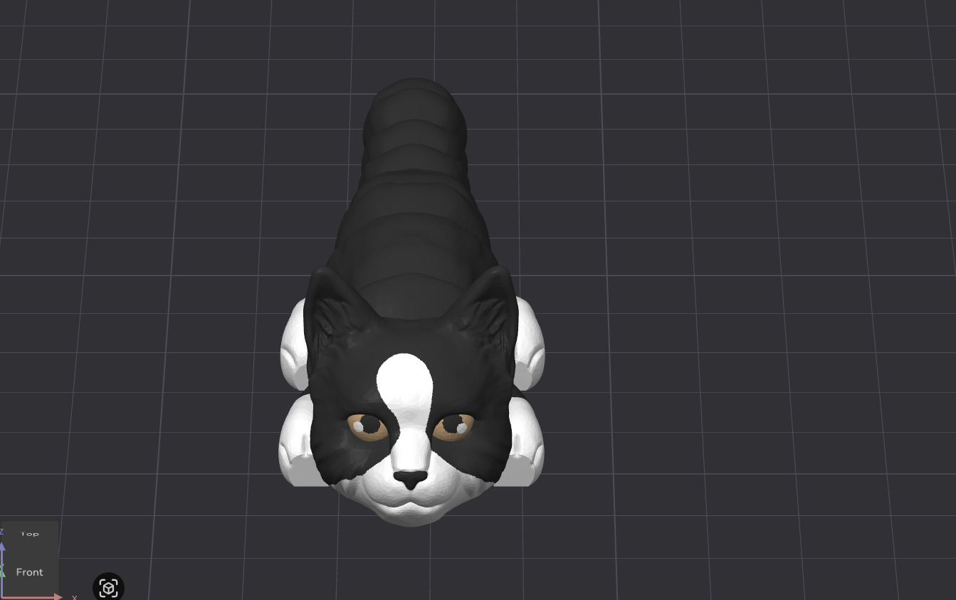 Classic Cat