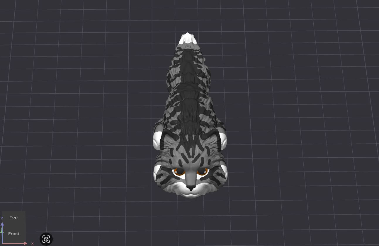 Long-Haired Cat