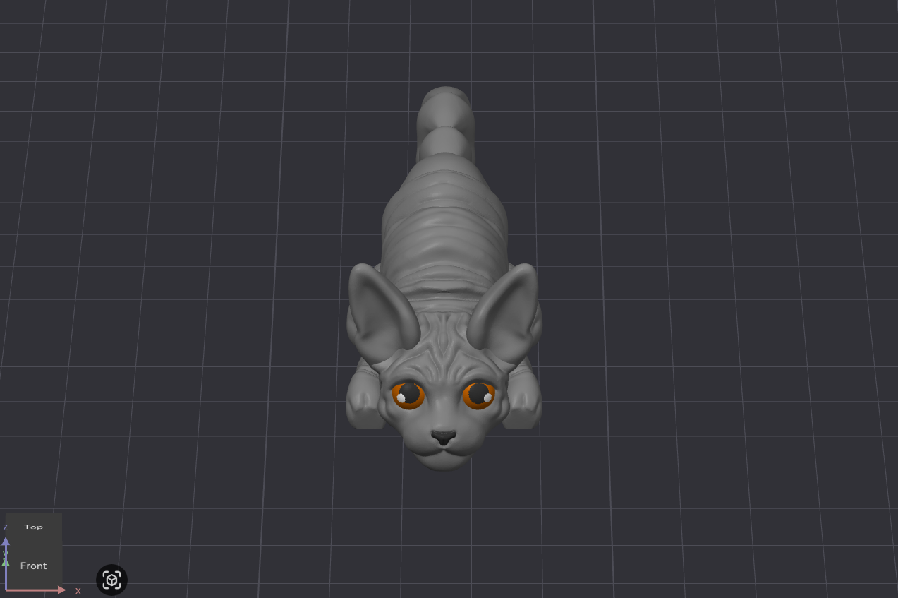 Sphynx Cat