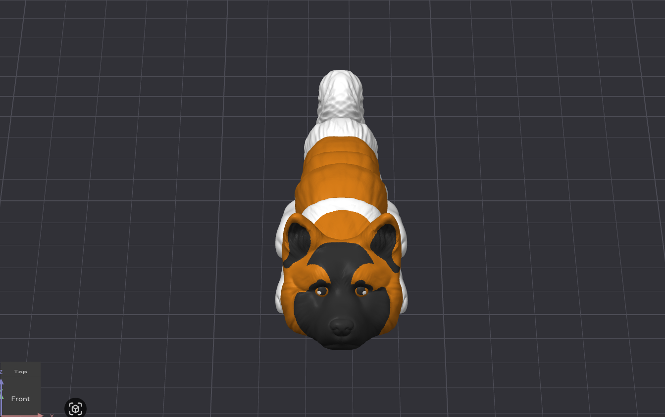 Akita Dog