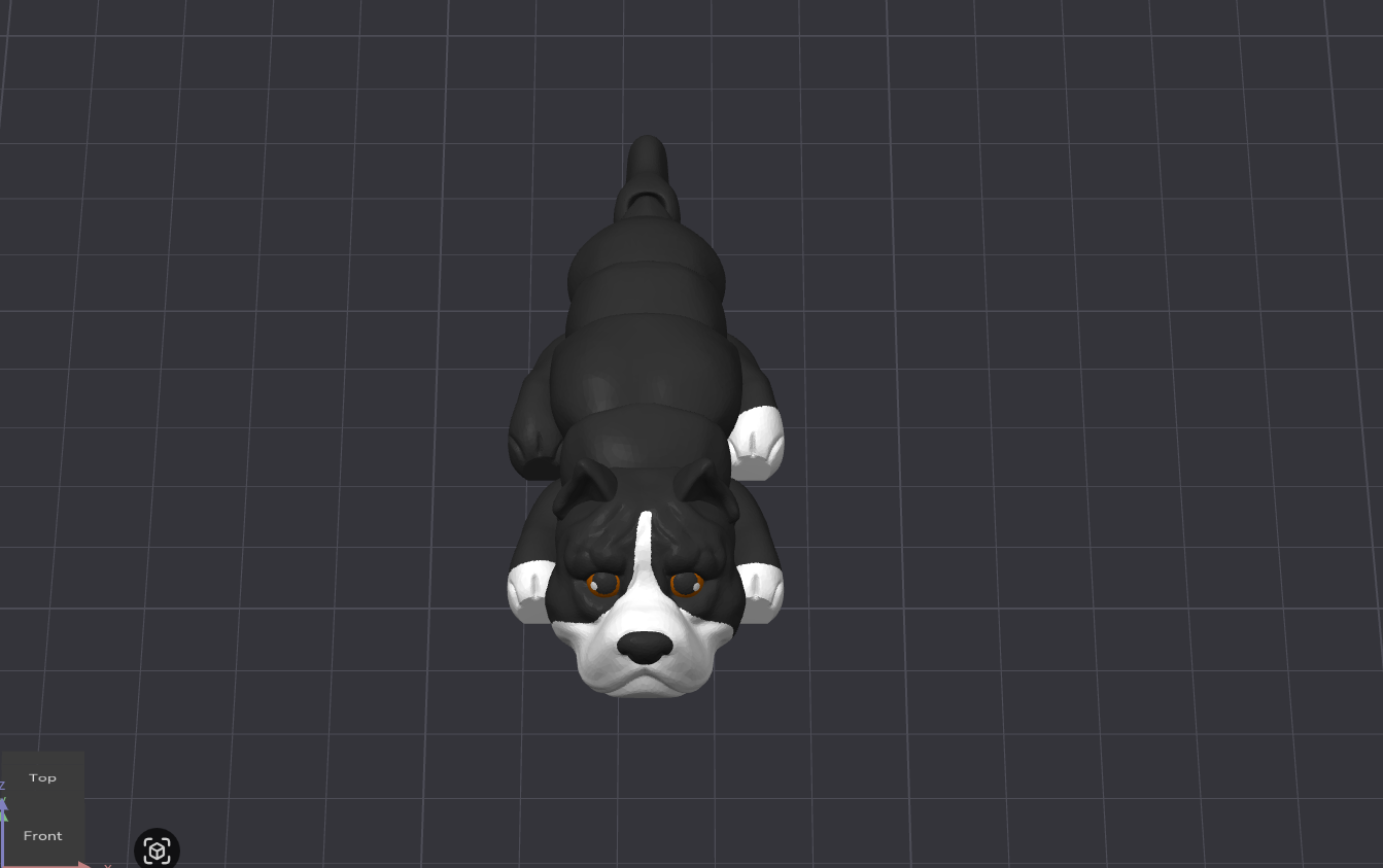American Bully Dog