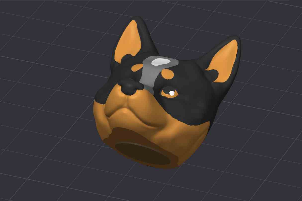 Australian Cattle Dog