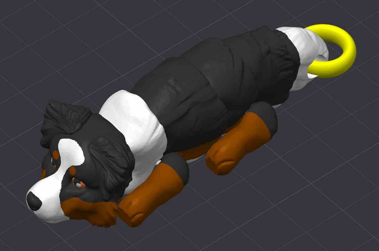 Australian Shepherd Dog