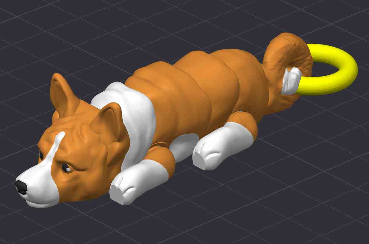 Basenji Dog