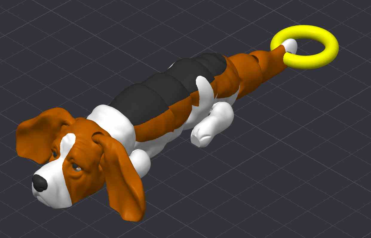 Basset Hound Dog