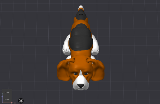 Beagle Dog