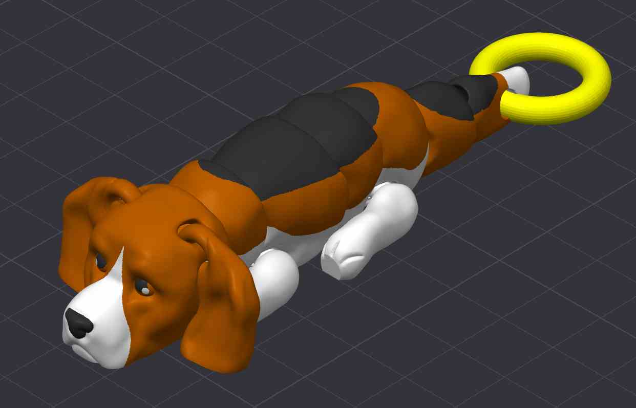 Beagle Dog